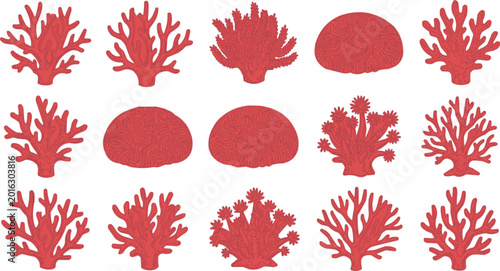 Canvas-taulu Corals appear as a series of vibrant red biological forms organized in a structured grid layout for scientific or decorative use