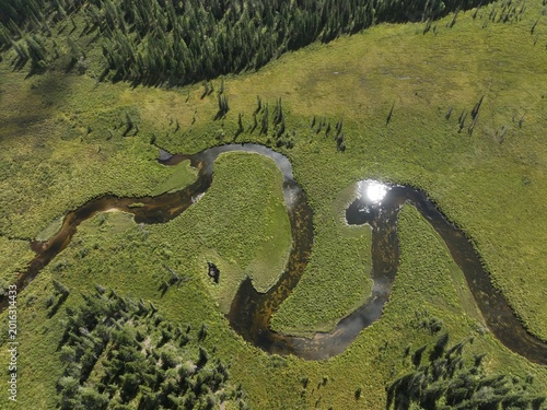 Aerial view of winding river meandering through lush green valley with forested edges