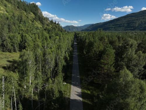 Aerial view of winding road through dense forested mountains under clear blue sky