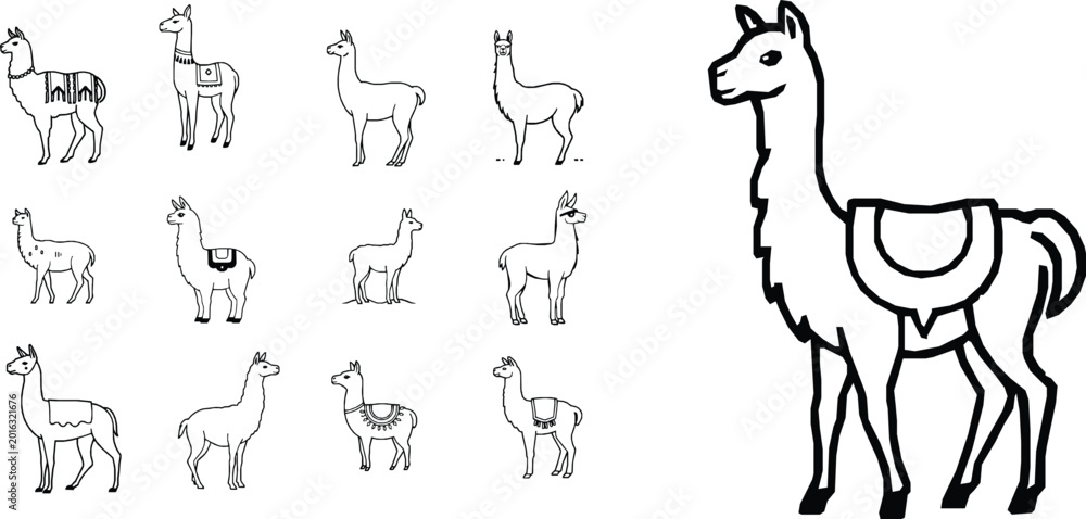 Fototapeta premium Llama Minimal Curves Outline Icon