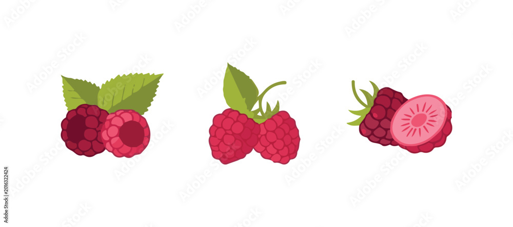 Fototapeta premium raspberry with the leaves attached