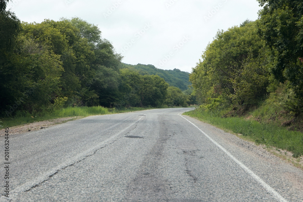 Fototapeta premium Empty asphalt road curving through a lush green summer forest