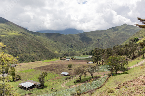 Drone aerial view of a rural farm surrounded by lush green mountains in Tenerife Valley, Colombia. Agricultural fields with neatly planted crops, countryside houses, rolling hills, and natural landsca