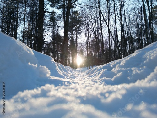 Sunset in the forest along a snow-covered path - Coucher de soleil en forêt dans l'axe d'un chemin enneigé