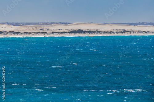 Photography Southern Right Whales at Head of Bight, Nullarbor, Australia