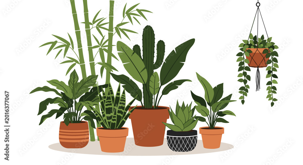 Fototapeta premium Selection of various indoor houseplants in decorative pots including cactus, snake plant, bamboo, and hanging ivy.
