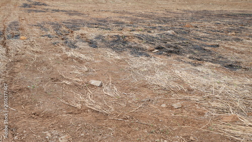Foto Dry desolate land with withered grass and barren soil, drought landscape showing