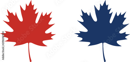 Red and blue maple leaf isolated on a white background, for nature and autumn