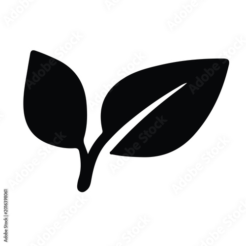 Photos Leaf icon, botany, nature, organic, plant