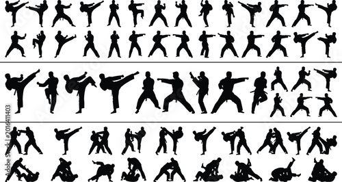 Foto Martial Arts and Karate Silhouette Collection Featuring Fighting Combat Training