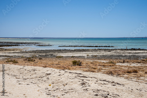 Bild auf Leinwand Sandy Beach and Rocky Tidal Flats With Turquoise Sea and Resting Birds in Hameli