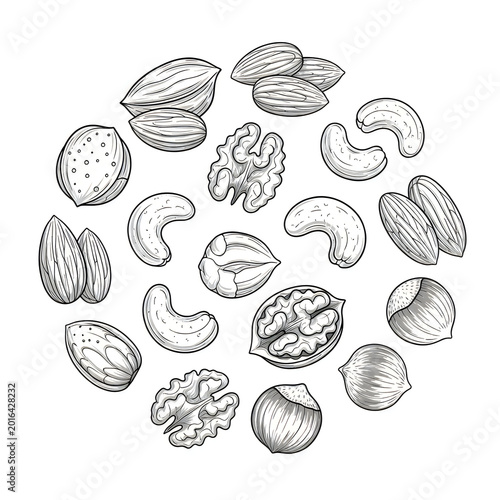 Set of assorted mixed nuts hand drawn sketch style illustration