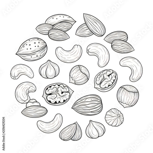 Hand drawn set of various healthy nuts and kernels in sketch style