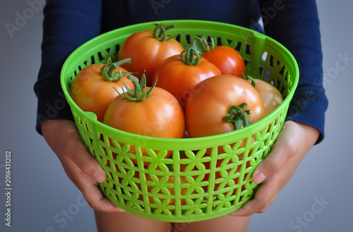 Fresh tomatoes in a basket