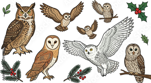 Quadro su tela Owl Bird Illustration Collection with Flying Snowy Owl, Barn Owl, and Forest Owl
