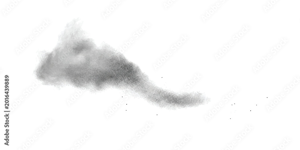 Fototapeta premium Black charcoal powder explosion smoke cloud isolated in air