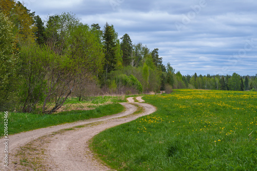 winding country road along the edge of the forest