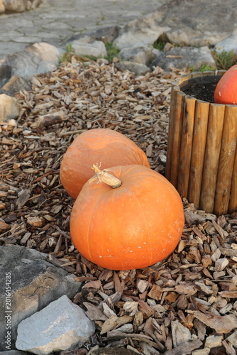 Calabaza