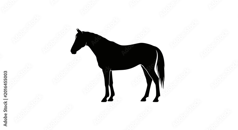 Fototapeta premium Black silhouette of a horse standing on a white background