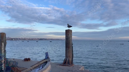 Seagull and a Traditional fishing boat in a pier in Cascais Portugal