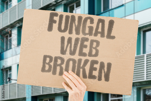 Konstfotografi "Fungal Web Broken" Underground fungal networks that feed forests are being severed by farming
