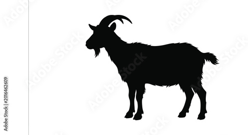 Fotografie Black goat standing side view animal silhouette