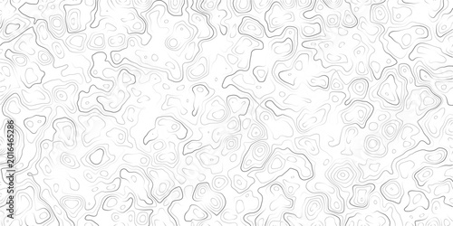Foto Abstract topographic map pattern with contour lines on white background