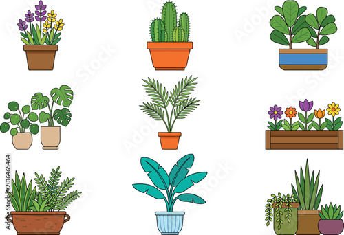 Фотография Colorful Potted Plant and Flower Vector Set with Hand Drawn Texture for Home Gar