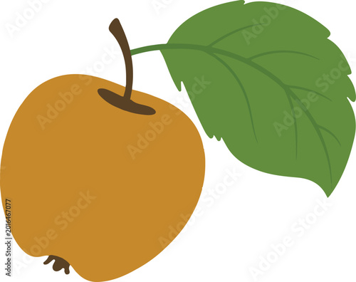 Yellow Apricot with Green Leaf Isolated on White