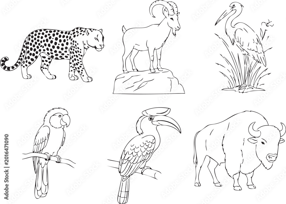 Obraz premium Funny cartoon wild animals vector illustration set featuring a black outline sketch of a bear, wolf, and rabbit for a children's fairytale coloring book drawing