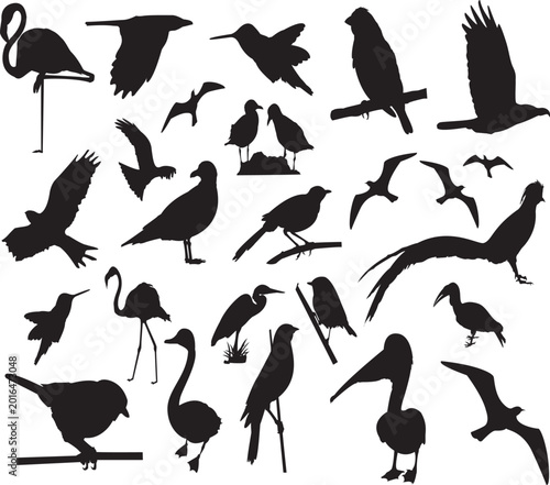 Photos Collection of various bird silhouettes in transparent background for nature and
