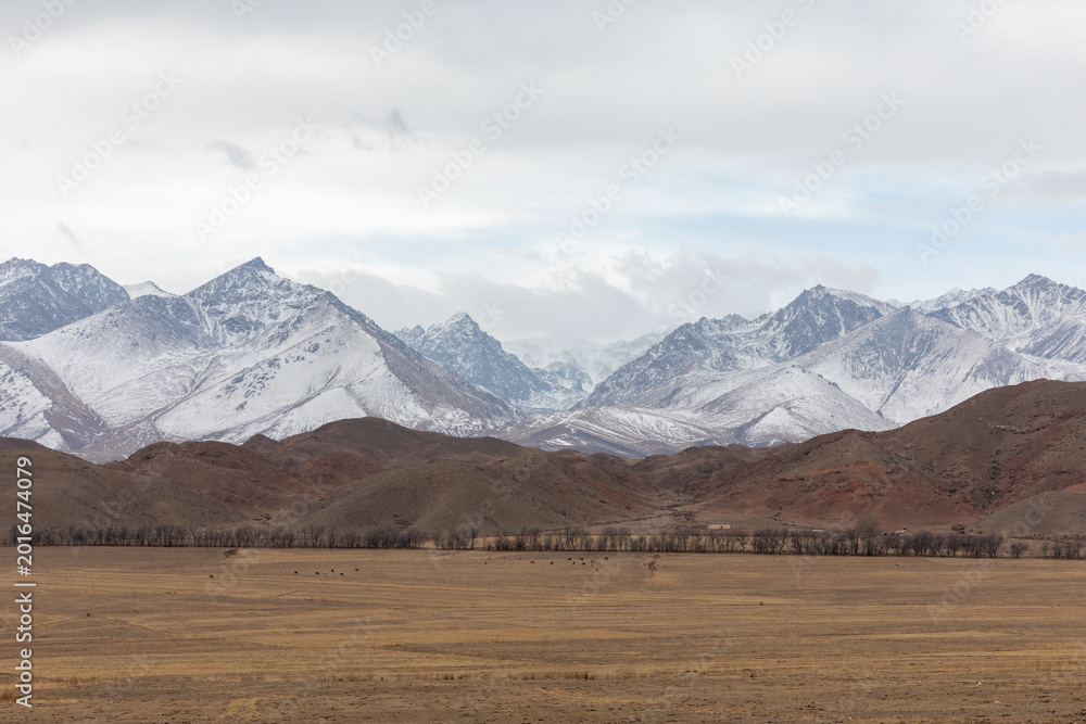 Fototapeta premium Wide panoramic view of snowcapped Tian Shan mountain range above a dry steppe plain and foothills under cloudy sky, remote wilderness scenery in Kyrgyzstan