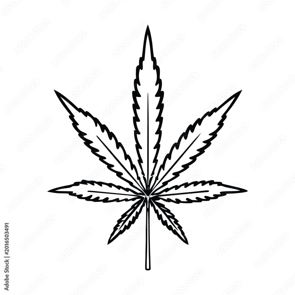Obraz premium Cannabis leaf, marijuana symbol, black vector icon, weed illustration