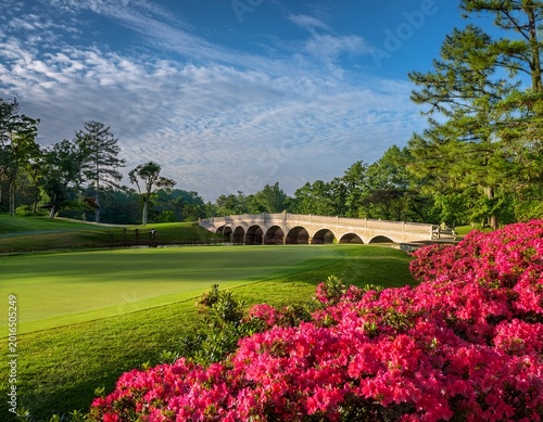 scenic hogan bridge augusta national golf course lush green golf course landscape with vibrant pink and red azalea flowers in bloom