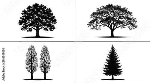 Foto Black silhouette illustration of diverse tree types including oak, acacia, popla