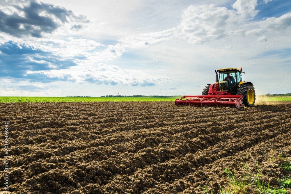 Fototapeta premium Farmer uses disc harrow to till soil during daytime in large open field