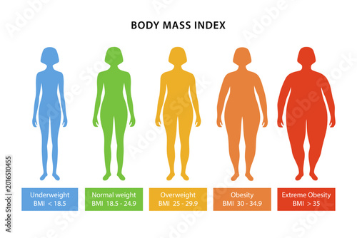 Body mass index. Silhouettes of color female bodies with varying degrees of obesity, with their body mass index indicated. Vector illustration in flat style isolated over white background.