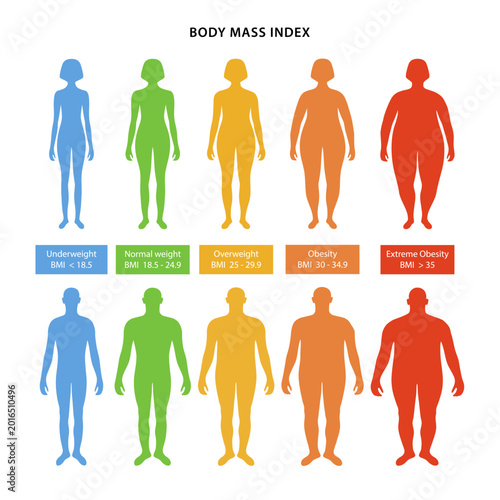 Body mass index. Silhouettes of color male and female bodies with varying degrees of obesity, with their body mass index indicated. Vector illustration in flat style isolated over white background.