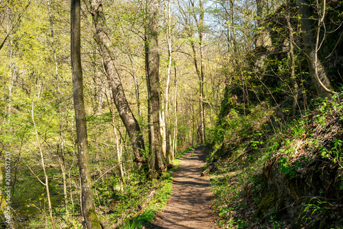 Das Bodetal im Frühling entdecken