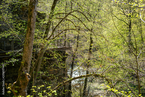 Wanderparadies Bodetal in Thale