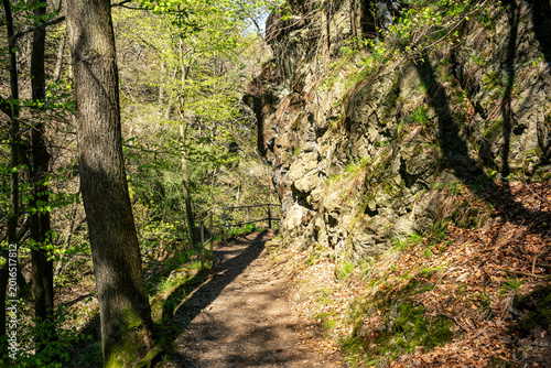 Frühlingswald und Felsen im Bodetal