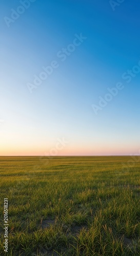 A vast, sweeping panorama of natural grassland under a huge open sky. The horizon line is low, emphasizing the immensity of the open space, earth, open, abstract
