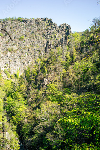 Grüne Landschaft im Herzen des Harz