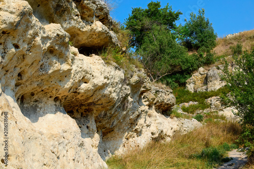 Landscape photo with summer vegetation and rocks