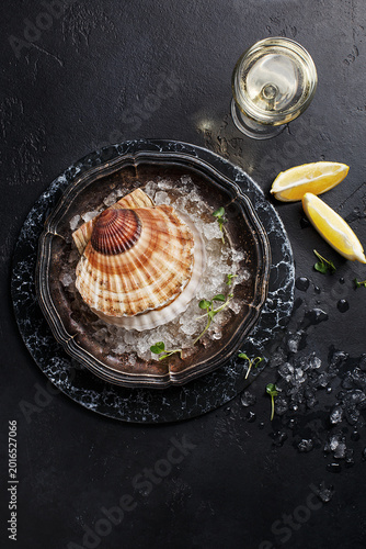 Fresh raw scallop in shell on vintage plate with ice, lemon, micro greens and glass of white wine or champagne over black stone background. Overhead view, copy space. Seafood restaurant dinner
