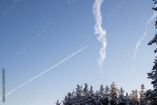A white aircraft contrail in the sky. A forest of trees.