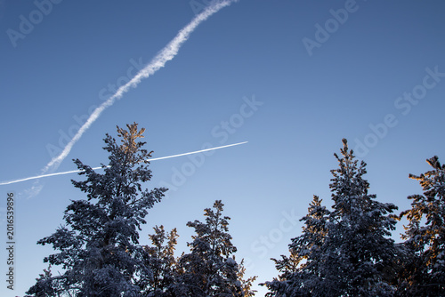 A white aircraft contrail in the sky. A forest of trees.