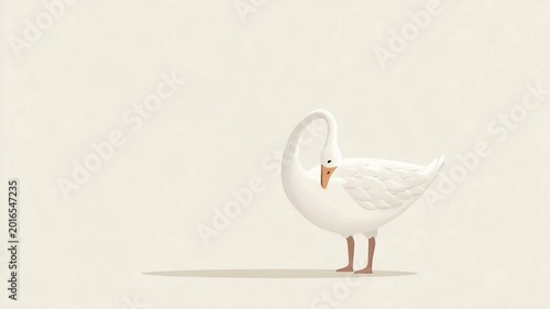 A pristine white swan elegantly curves its neck, embodying grace and serenity in a minimalist composition.