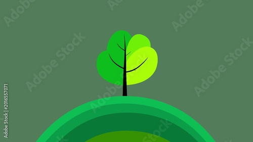 Cartoon animation of simple green tree growing on mountain isolated. Cute plant with branches animated with shadow business explainer presentation flat style video backdrop motion graphics element.
