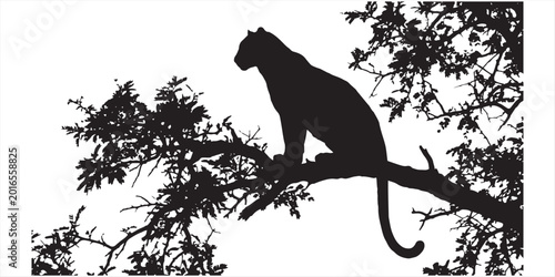 Foto A leopard sitting on a tree branch against a white background